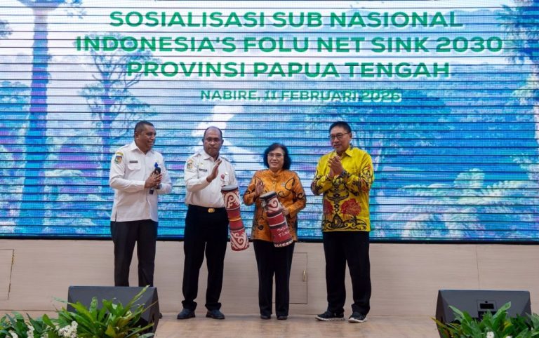 IMG-20260211-WA0039-2